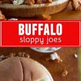 Buffalo Sloppy Joes collage
