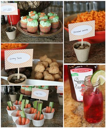 Cranberry Spritzer Recipe {A Bunny Birthday Party} - Taste and Tell