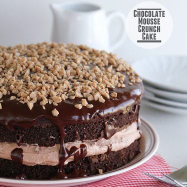 Chocolate Mousse Crunch Cake - Taste and Tell