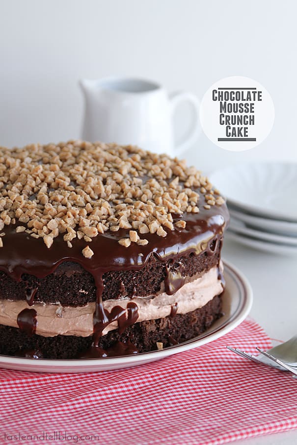 Chocolate Mousse Crunch Cake - Taste and Tell