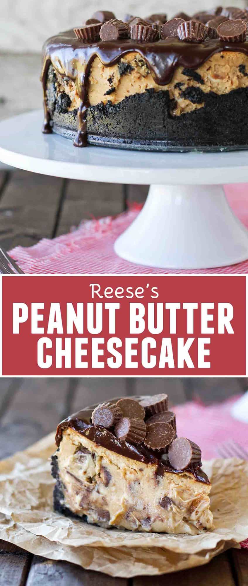 The Best Reese's Peanut Butter Cheesecake - Taste and Tell