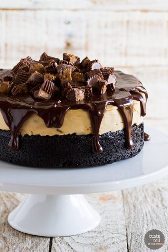 Peanut Butter Cup Ice Cream Cake - Taste and Tell