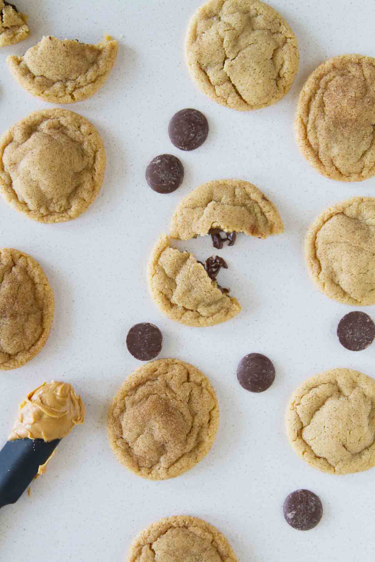 Peanut butter cinnamon meltaway cookies with chocolate pieces around.