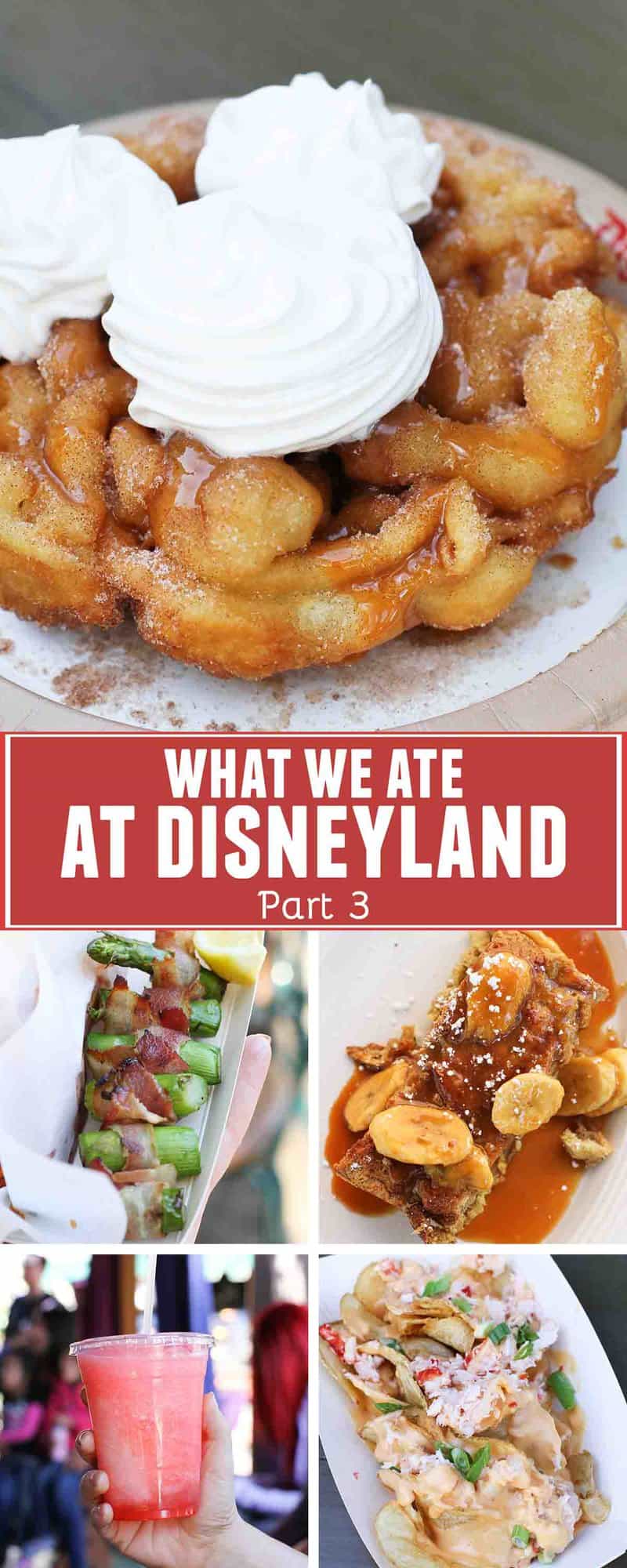 What We Ate At Disneyland - Part 3 - Taste And Tell