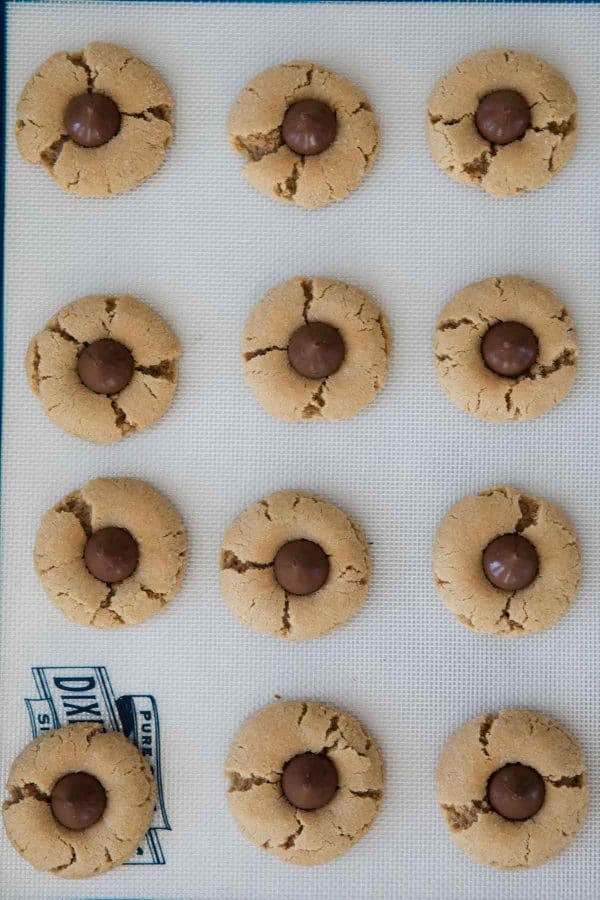 Peanut Butter Blossoms Recipe - Christmas Cookie Recipe - Taste and Tell