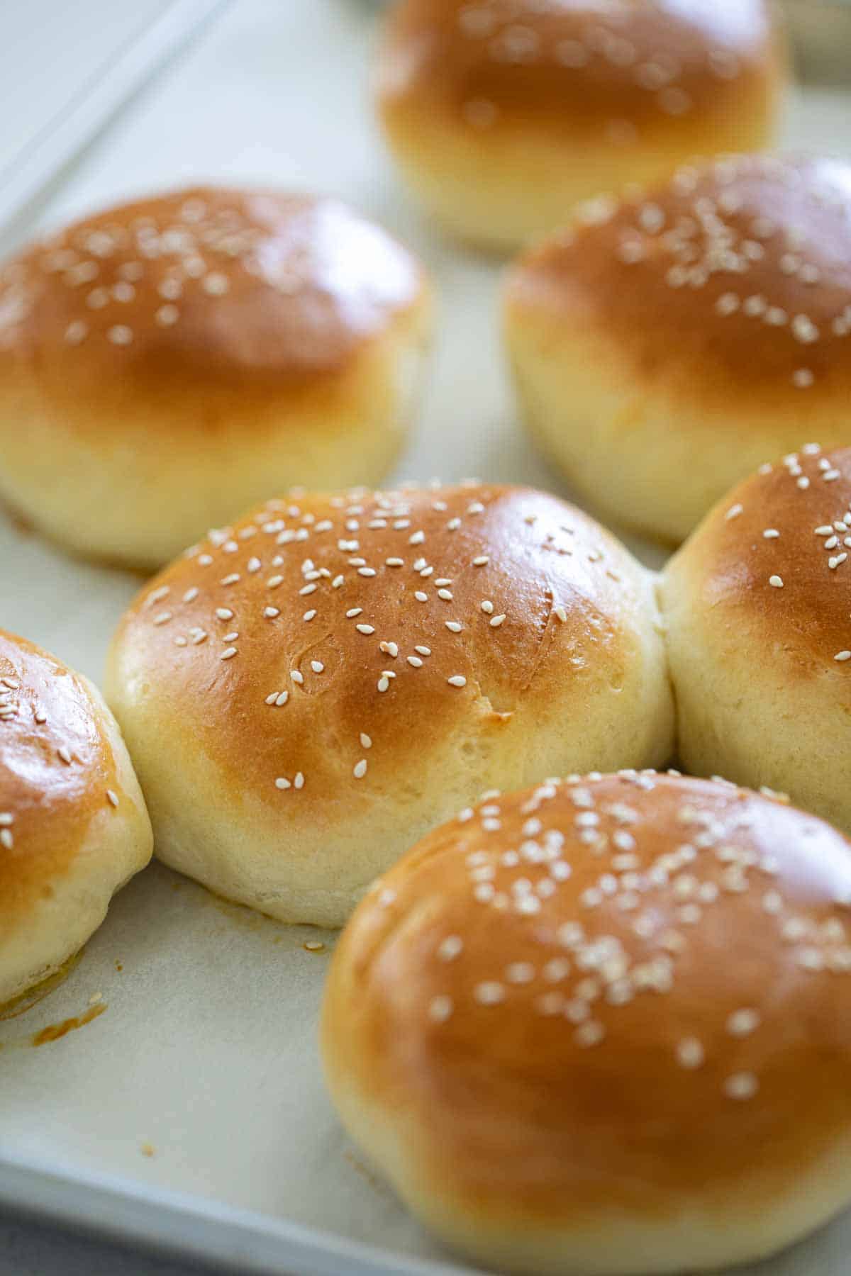 Homemade Hamburger Buns from Scratch - Taste and Tell