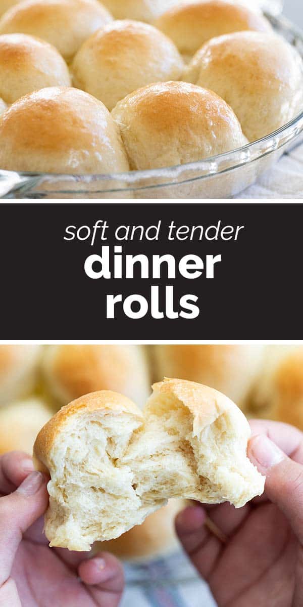 Easy Dinner Rolls Recipe from Scratch - Taste and Tell