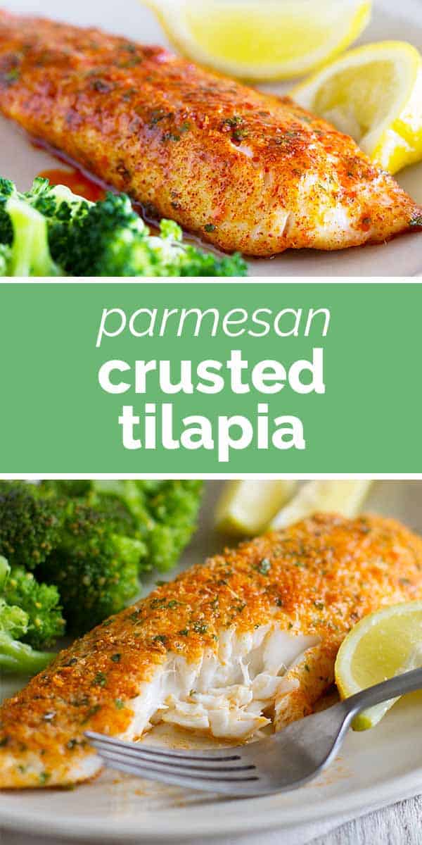 Fast and Easy Parmesan Crusted Tilapia - Taste and Tell