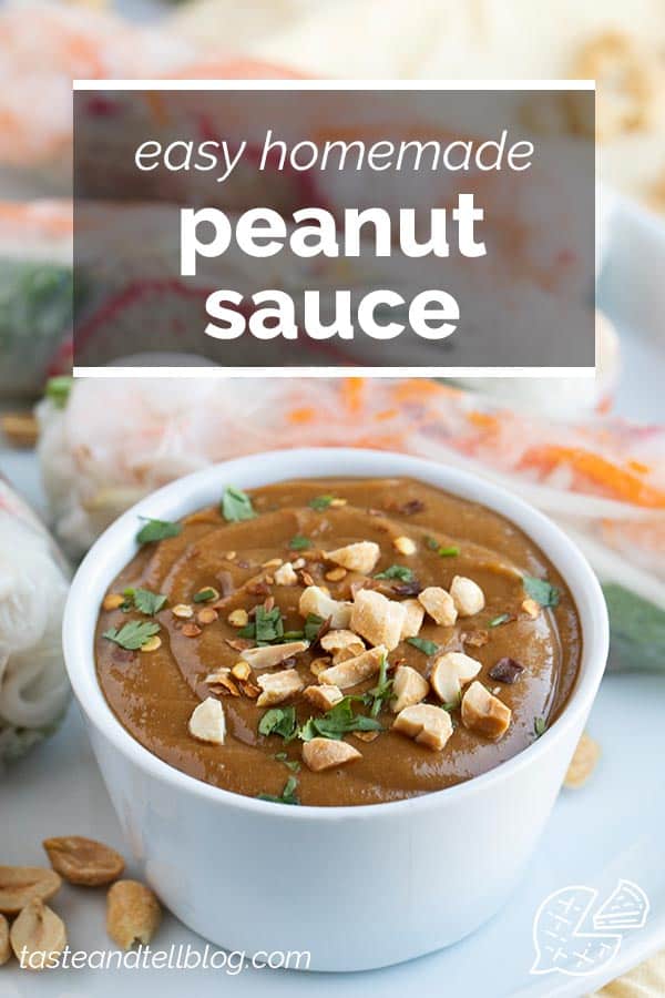 Peanut Sauce Taste And Tell   Peanut Sauce Short 