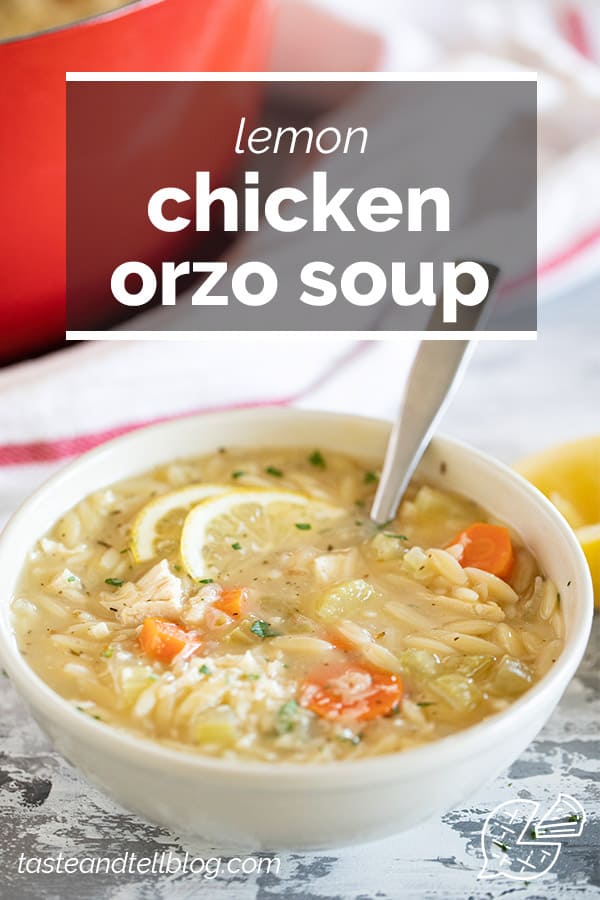 Lemon Chicken Orzo Soup - Taste and Tell