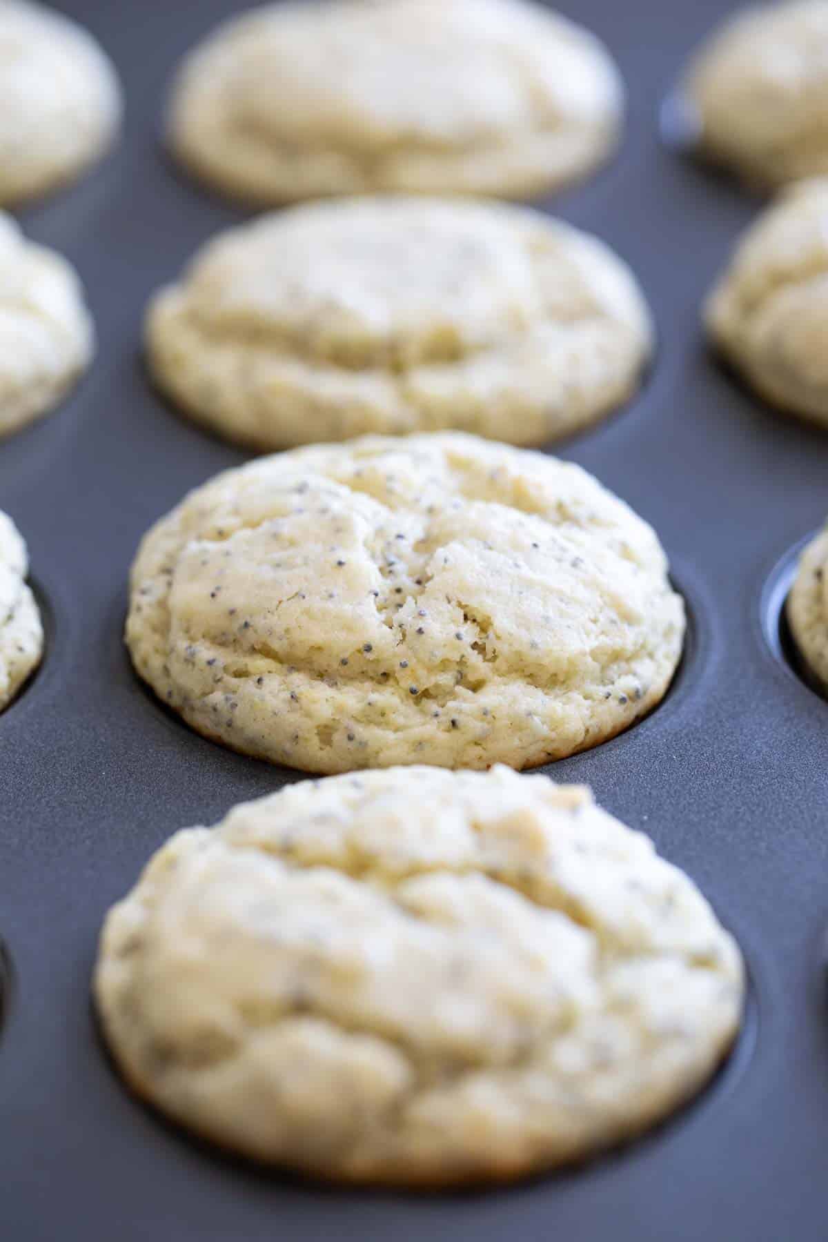 Lemon Poppy Seed Muffins in a baking tin.