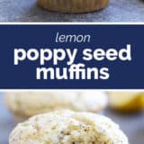 Lemon Poppy Seed Muffins collage with text bar in the middle.