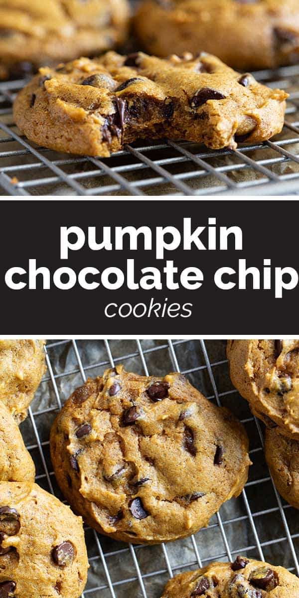 Pumpkin Chocolate Chip Cookies - Taste and Tell