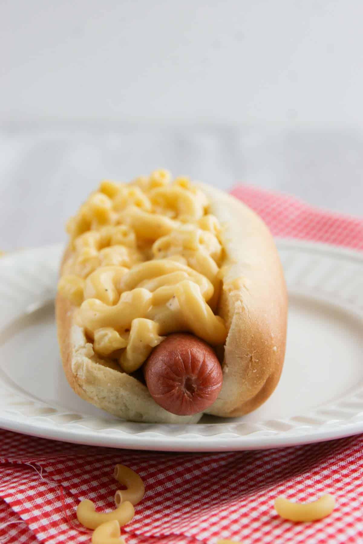 Hot dog served with homemade Mac and cheese on top.