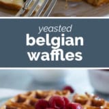 Belgian Waffle Recipe collage with text bar in the middle.