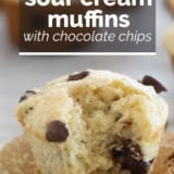 Sour Cream Muffins with Chocolate Chips with text overlay.