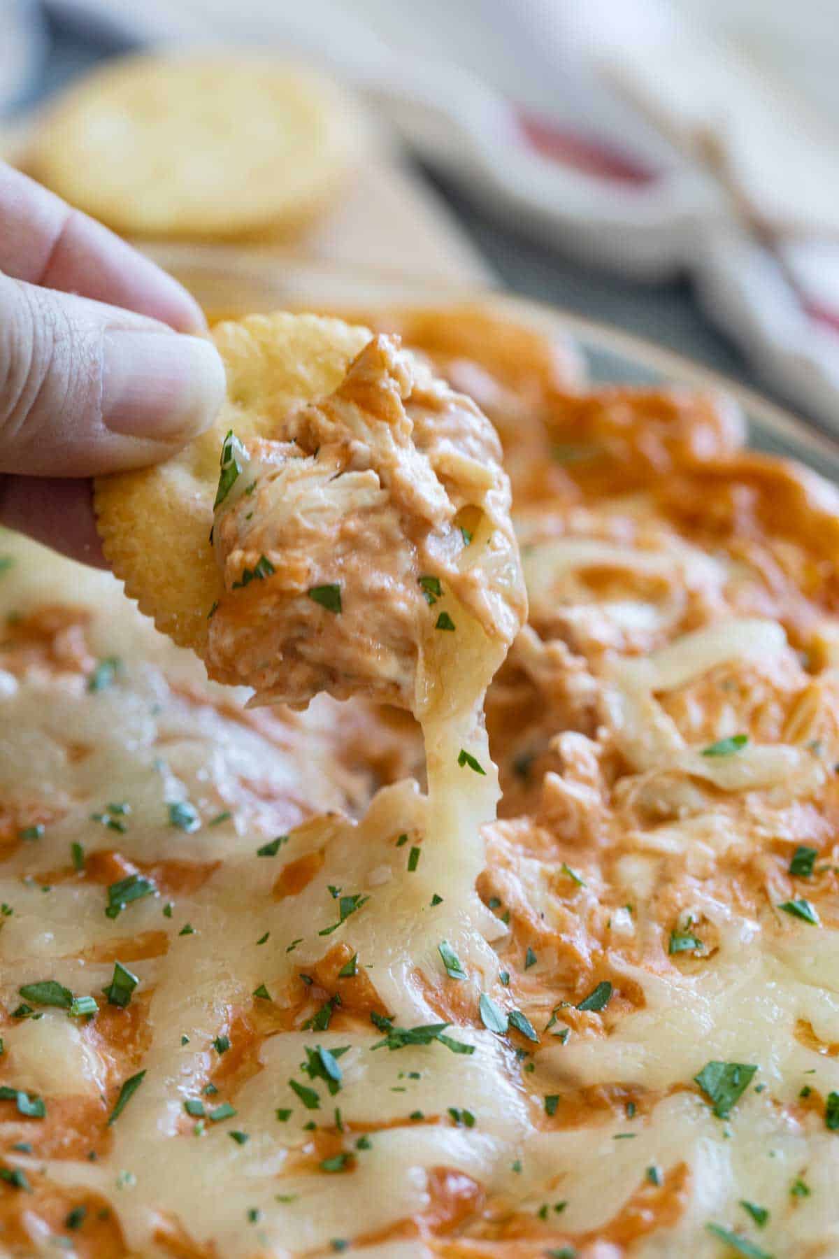 BBQ Chicken Dip on a round cracker with cheese coming off of it.