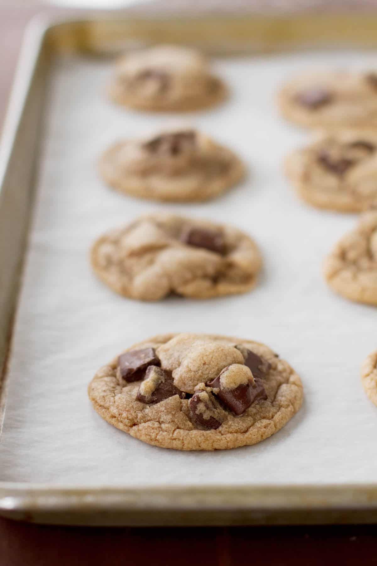 Malted Chocolate Chunk Cookies on a cookie sheet.