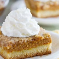 Slice of Pumpkin Pie Cake topped with a dollop of Reddi-Wip.