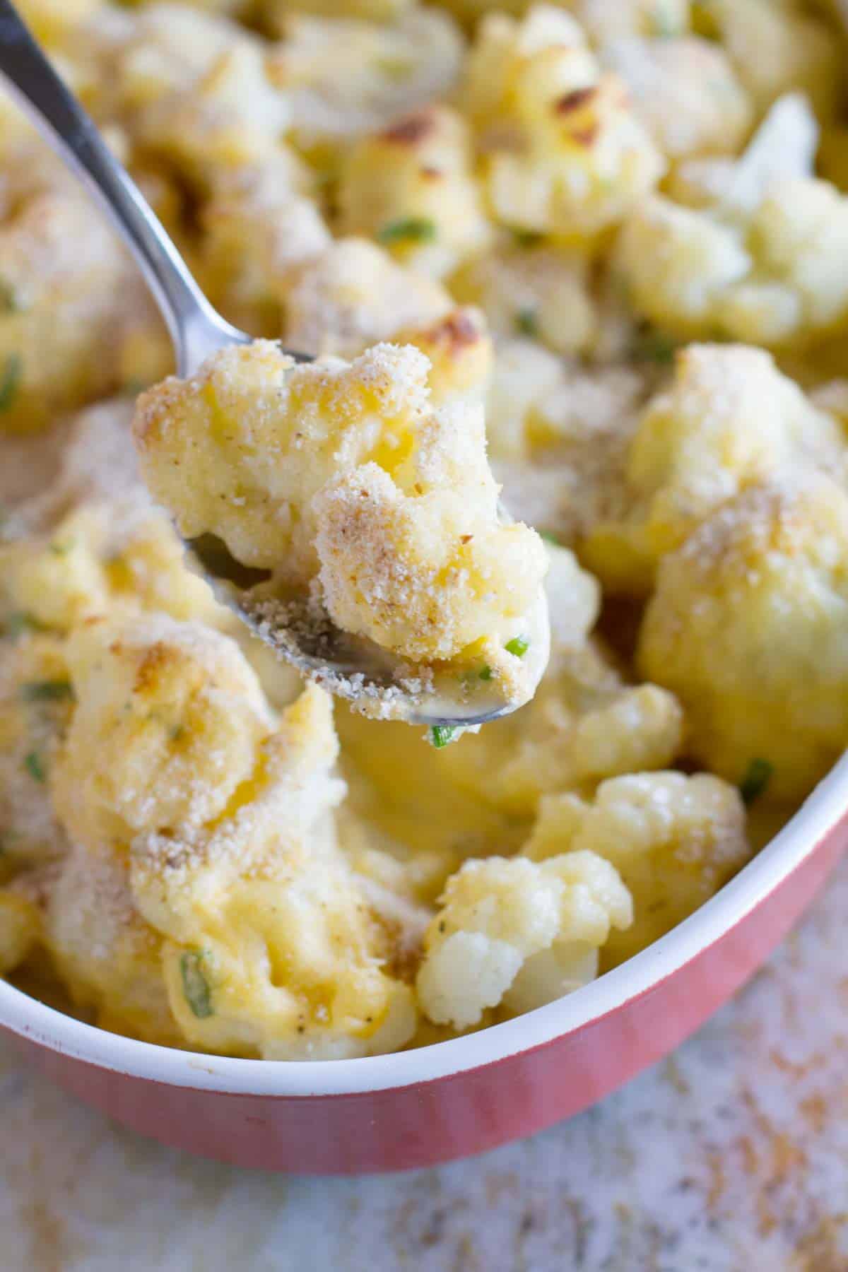 Spoonful of Cheddar Cauliflower Gratin.