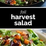 Fall Harvest Salad collage with text bar in the middle.