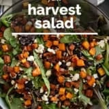 Fall Harvest Salad with text overlay.