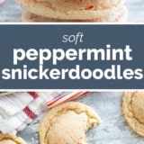 Peppermint Snickerdoodles collage with text bar in the middle.