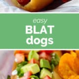 BLAT Dogs collage with text bar in the middle.