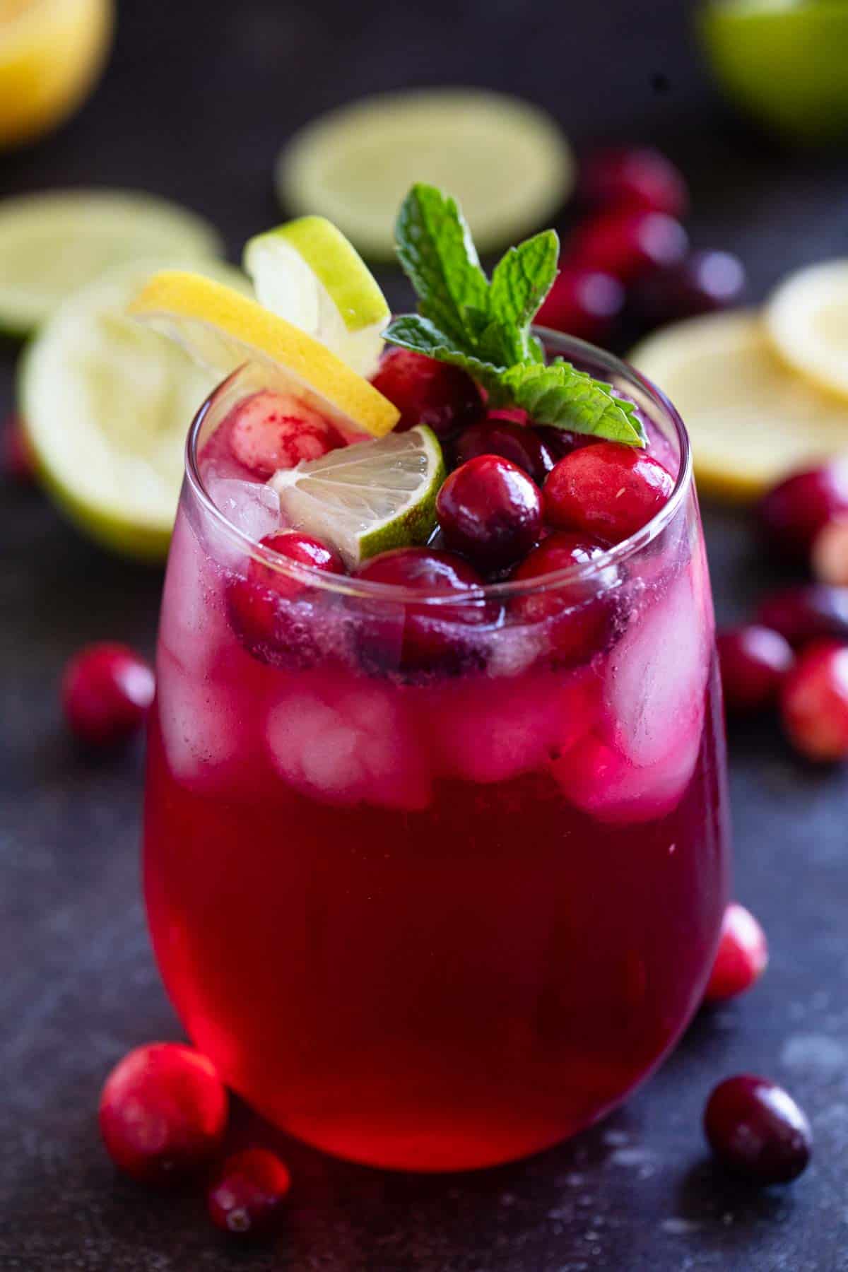 Cranberry Spritzer topped with fresh cranberries, limes, lemons, and mint.