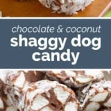 Shaggy Dogs Candy collage with text bar in the middle.