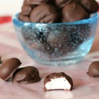 Bowl of homemade junior mints, with one mint on the side with a bite taken from it.