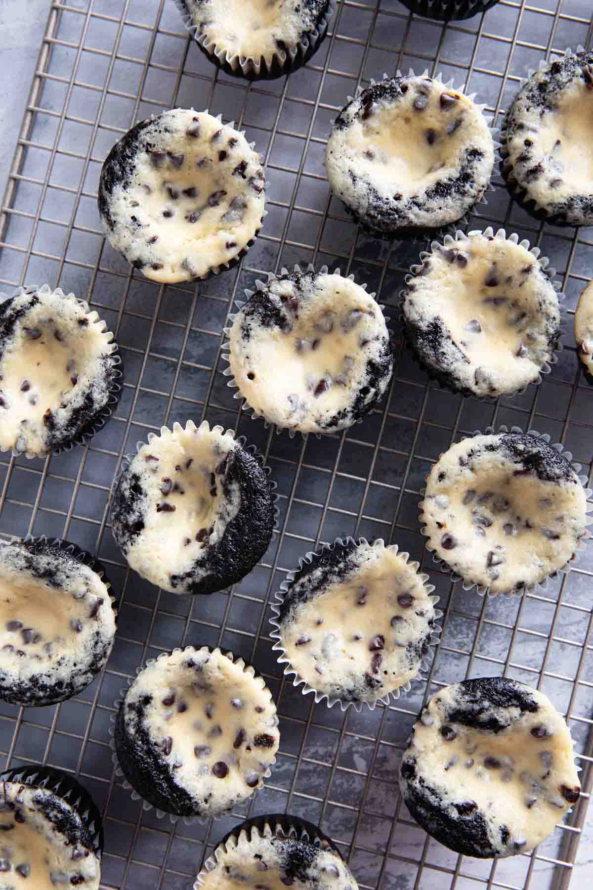 Black Bottom Cupcakes on a cooling rack.