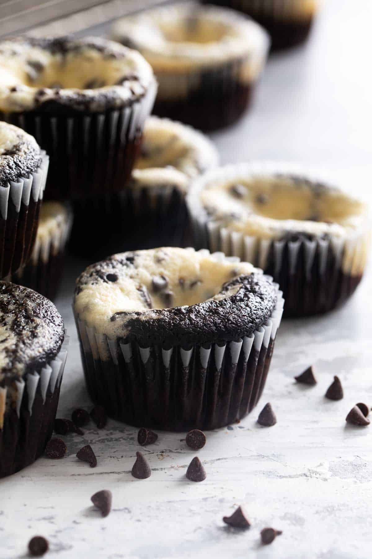 Black Bottom Cupcakes next to a cooling rack with mini chocolate chips sitting next to them.