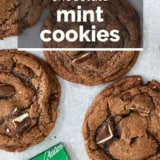 Chocolate Mint Cookies with text overlay.