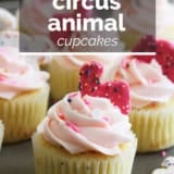 Circus Animal Cookie Cupcakes with text overlay.